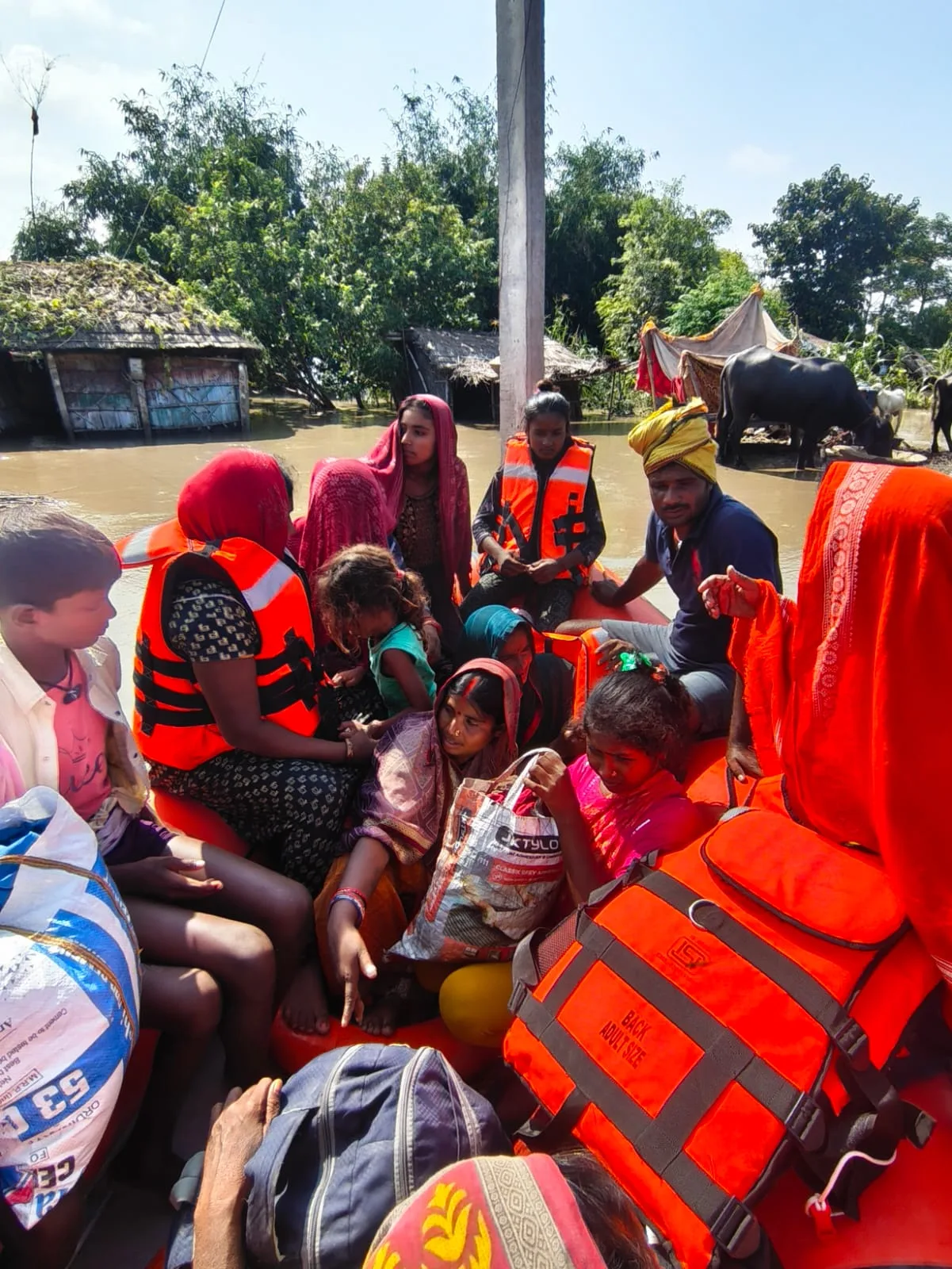बाढ़ प्रभावित इलाकों में लोगों को सुरक्षित निकालने में जुटी NDRF की टीम।